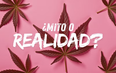«Mito» o «Realidad» en las conductas adictivas (Parte 2ª)