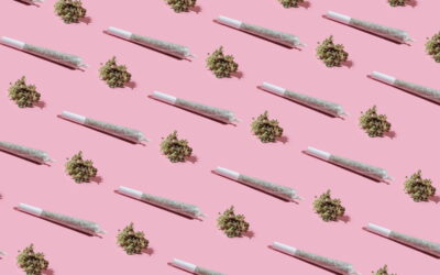 ¿Por qué algunas personas adolescentes se inician en el consumo de cannabis?